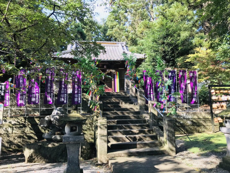 トトロ神社といわれる下野星宮神社