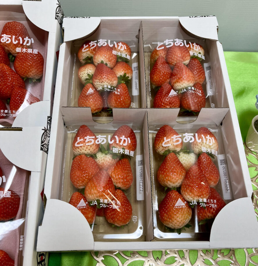 宇都宮市】LRT(ライトライン)で行ける いちご屋さん☆吉田いちご園