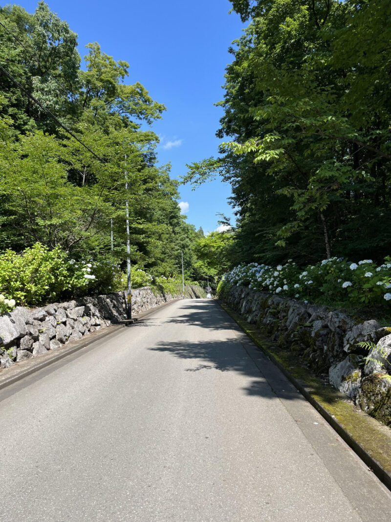 氷室あじさい坂